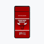 Lighter : Chicago Bulls (front)